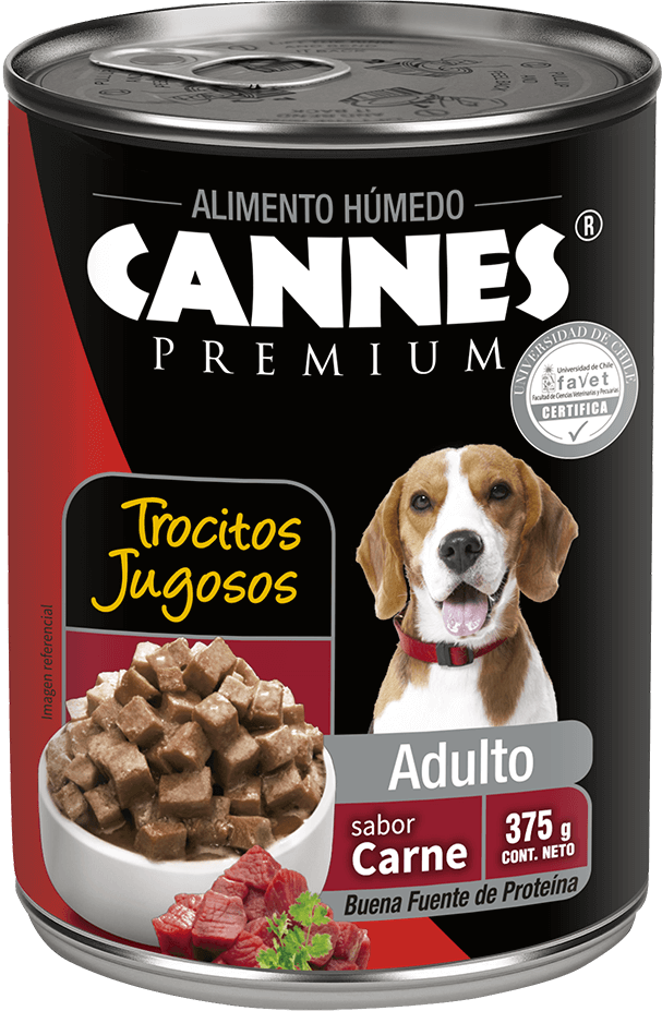 Lata Sabor Carne