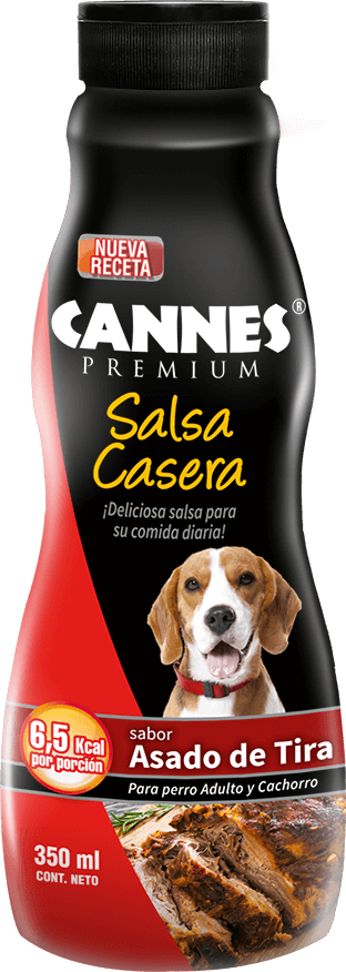 Salsa sabor asado de tira